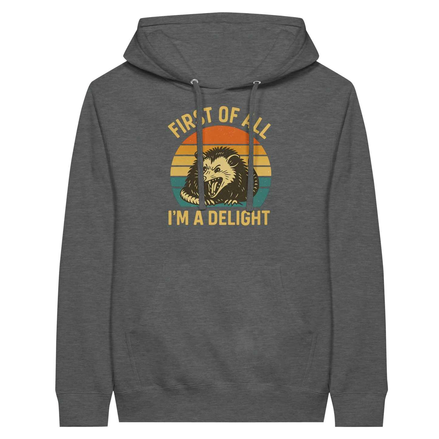 First of All I’m a Delight Possum Hoodie